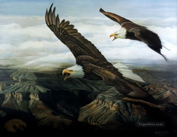 イーグルスエコー鳥 Oil Paintings